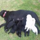 Fué una madre extraordinaria y muy cariñosa no queria ni comer ni ir al baño por estar con ellos 